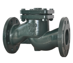 CHECK VALVE- FLANGE TYPE LIFTING