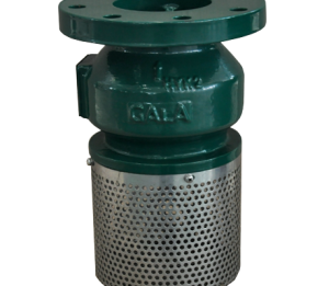 FOOT VALVE