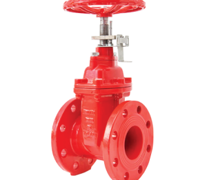 GATE VALVE F4 SERIES (FLANGED) 117FF NRS