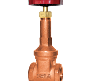 GATE VAVLE- BRONZE RS (THREADED)
