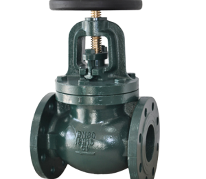 GLOBE VALVE-  OS&Y BS/MSS