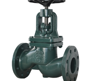 GLOBE VALVE- OS&Y DIN