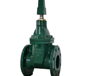 GATE VALVE- BS NRS RESILIENT SEATED