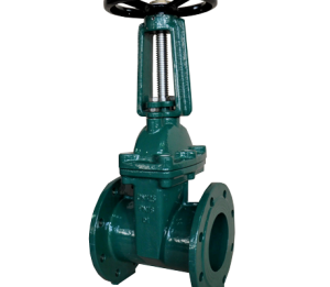 GATE VALVE- BS/MSS OS&Y RESILIENT SEATED