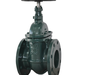 GATE VALVE- DIN F4 NRS METAL SEATED