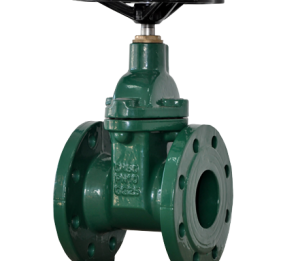 GATE VALVE- DIN F4 NRS RESILIENT SEATED