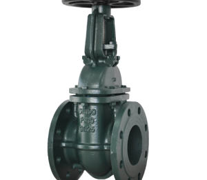 GATE VALVE- DIN F4 OS&Y METAL SEATED