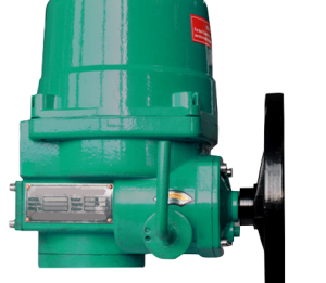 ELECTRIC ACTUATOR