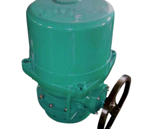 ELECTRIC ACTUATOR