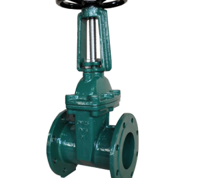 GATE VALVE-WRAS OS&Y RESILIENT SEATED